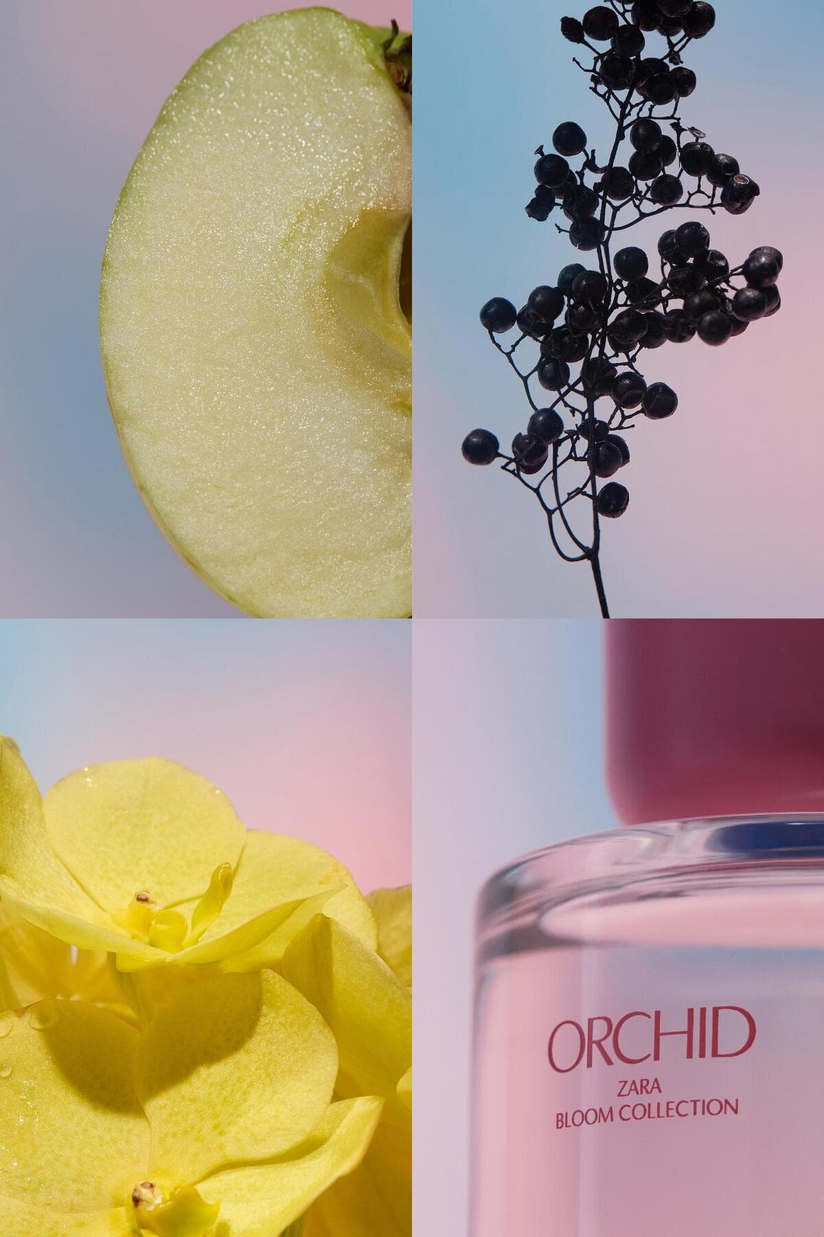 عطر زنانه Zara Orchid EDP 90 ml عطر زنانه Zara Orchid EDP 90 ml