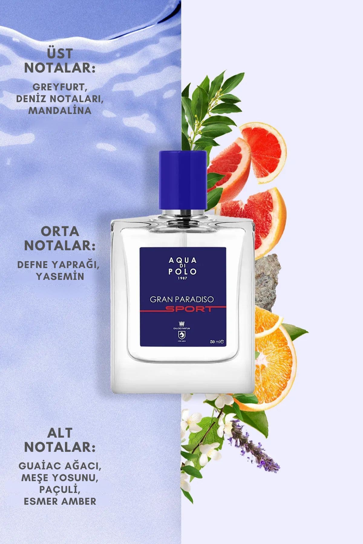 عطر مردانه Aqua Di Polo 1987 مدل Gran Paradiso Sport EDP 50 ml عطر مردانه Aqua Di Polo 1987 مدل Gran Paradiso Sport EDP 50 ml