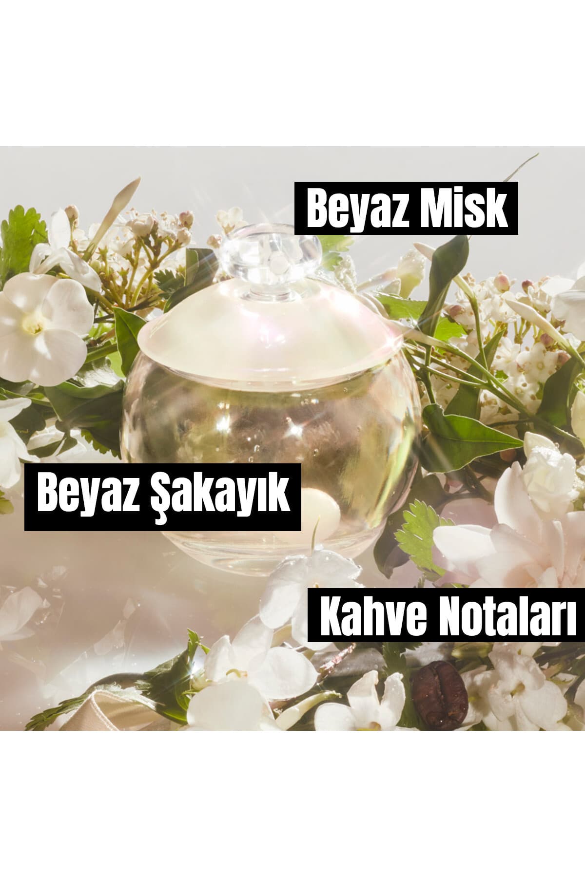 عطر زنانه Cacharel Noa مدل EDT 100 ml عطر زنانه Cacharel Noa مدل EDT 100 ml