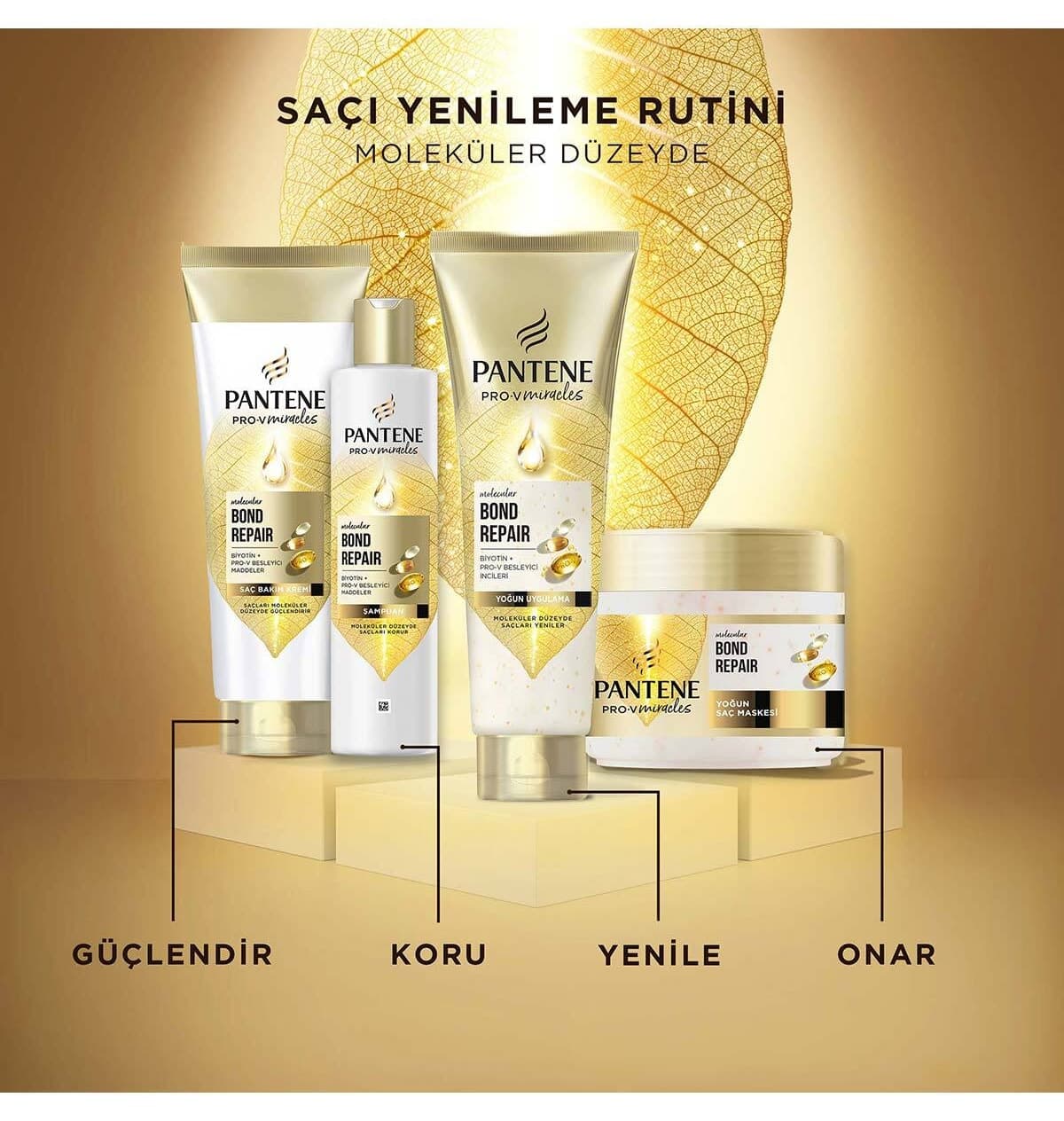 ست مراقبت از مو Pantene ترمیم پیوند مولکولی ست مراقبت از مو Pantene ترمیم پیوند مولکولی