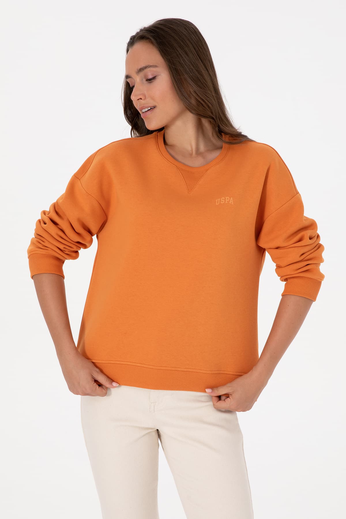 سوئیشرت زنانه U.S. Polo Assn. مسی شاردونی یقه گرد مدل 50313586-VR182 سوئیشرت زنانه U.S. Polo Assn. مسی شاردونی یقه گرد مدل 50313586-VR182