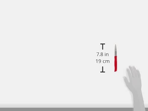 چاقوی پوستکنی و خردکردن ZWILLING مدل 386010900 چاقوی پوستکنی و خردکردن ZWILLING مدل 386010900