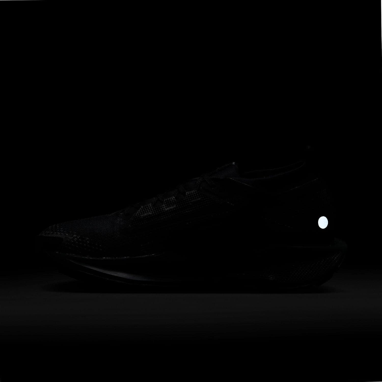 کفش ورزشی مردانه Nike مدل Pegasus Trail 5 Gore-tex کفش ورزشی مردانه Nike مدل Pegasus Trail 5 Gore-tex