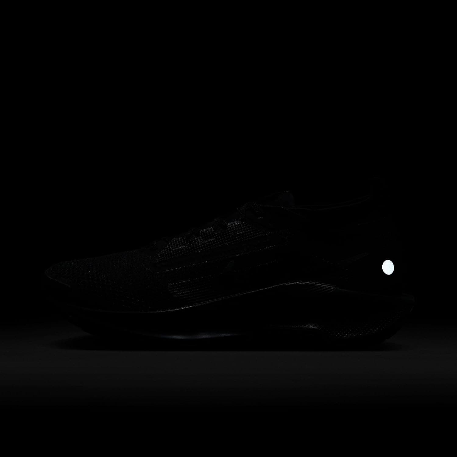کفش ورزشی مردانه Nike مدل Pegasus Trail 5 Gore-tex کفش ورزشی مردانه Nike مدل Pegasus Trail 5 Gore-tex
