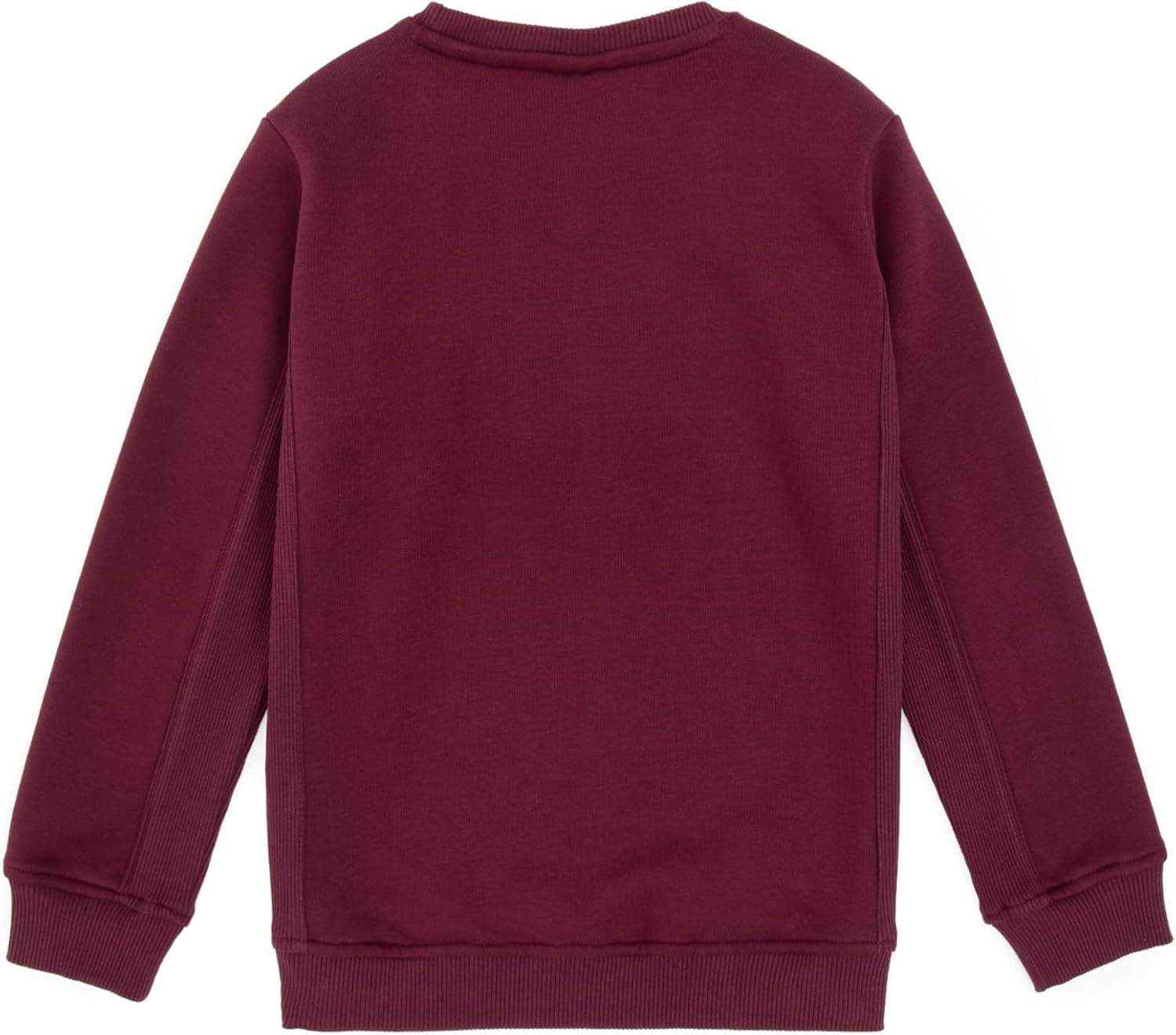 سوییشرت پسرانه U.S. POLO ASSN. آلبالویی مدل 50316406-VR177 سوییشرت پسرانه U.S. POLO ASSN. آلبالویی مدل 50316406-VR177