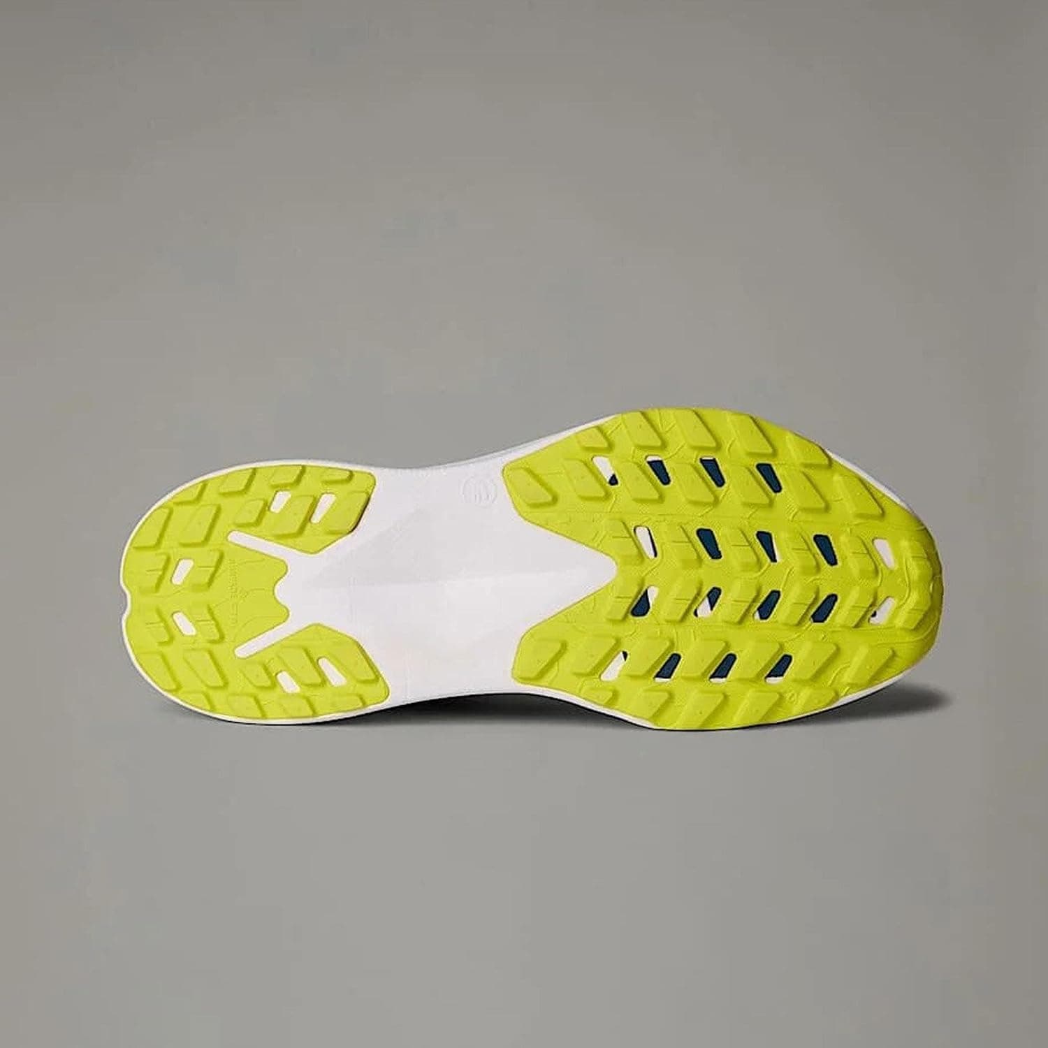 کفش تریل مردانه THE NORTH FACE مدل Altamesa 300 کد NF0A8A9R کفش تریل مردانه THE NORTH FACE مدل Altamesa 300 کد NF0A8A9R