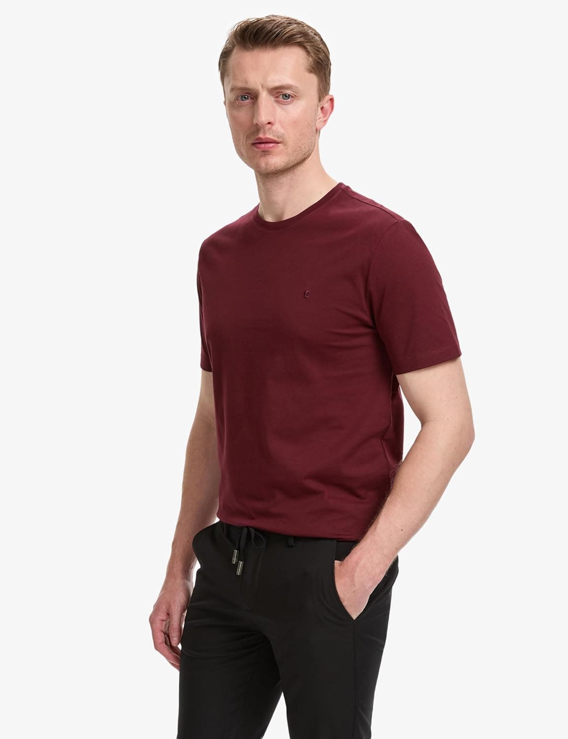 تیشرت مردانه Pierre Cardin مدل Basic تیشرت مردانه Pierre Cardin مدل Basic