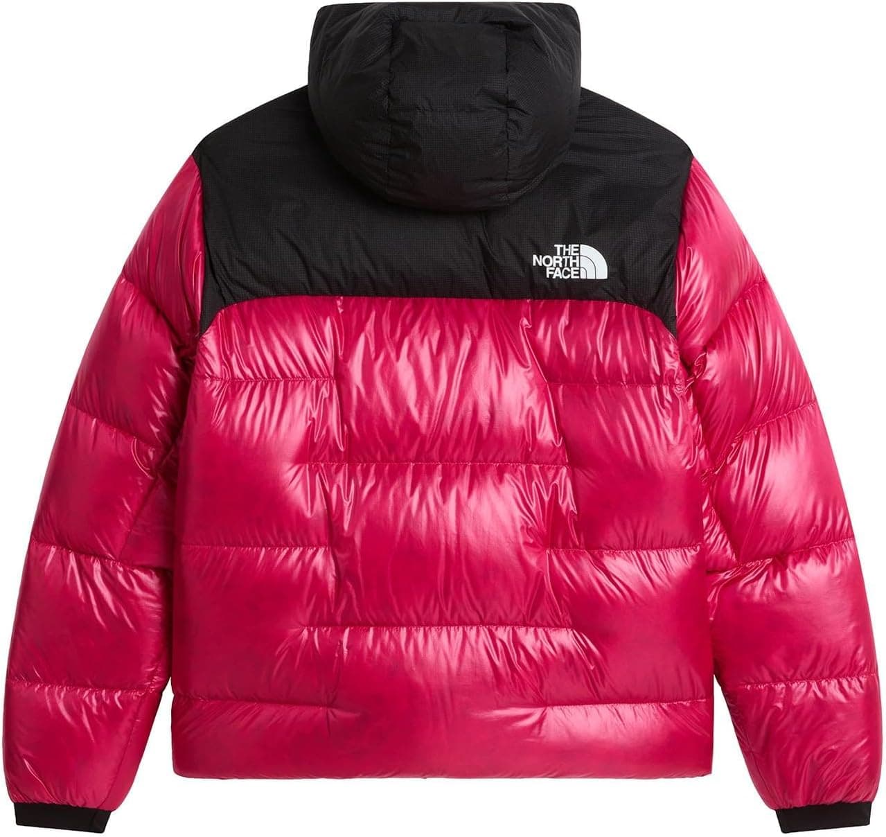 ژاکت زنانه The North Face SUMMIT NUPTSE مدل NF0A8H3EUL21 ژاکت زنانه The North Face SUMMIT NUPTSE مدل NF0A8H3EUL21