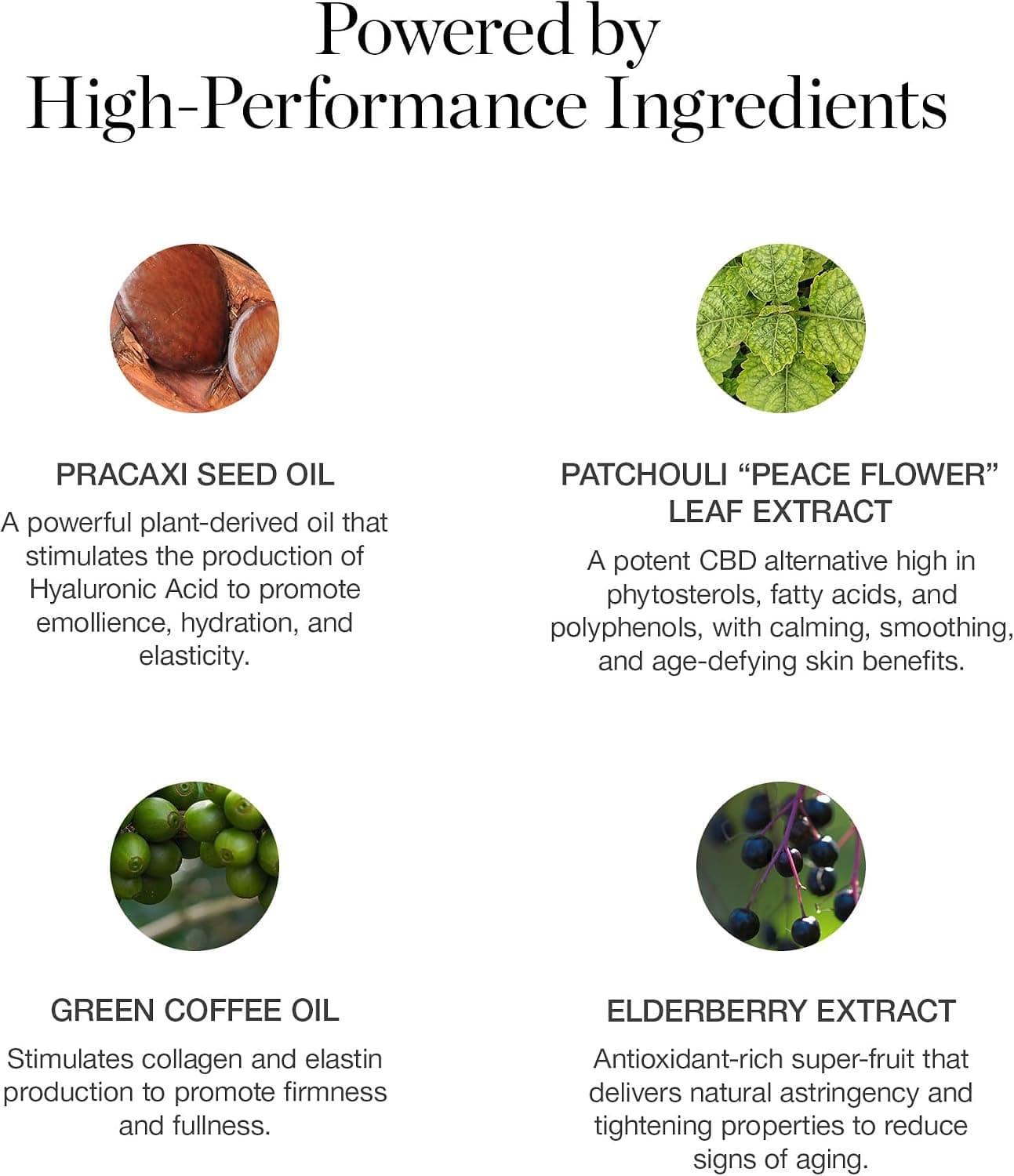 استیک کرمپودر Ogee برای پوست روشن با تهرنگ خنثی مدل Birch 0.5N استیک کرمپودر Ogee برای پوست روشن با تهرنگ خنثی مدل Birch 0.5N