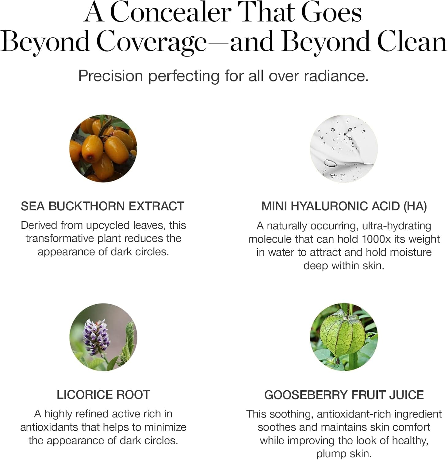 کانسیلر زیر چشم Ogee Complexion Perfecting رنگ BEECH 0.05N کانسیلر زیر چشم Ogee Complexion Perfecting رنگ BEECH 0.05N