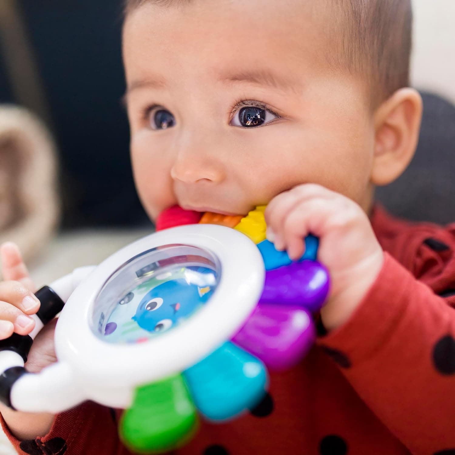 اسباببازی حسی چندمنظوره جغجغه و دندانگیر نوزاد Baby Einstein مدل Outstanding Opus The Octopus، بدون BPA، قابل خنککردن، مناسب 3 ماه به بالا، 1pk اسباببازی حسی چندمنظوره جغجغه و دندانگیر نوزاد Baby Einstein مدل Outstanding Opus The Octopus، بدون BPA، قابل خنککردن، مناسب 3 ماه به بالا، 1pk