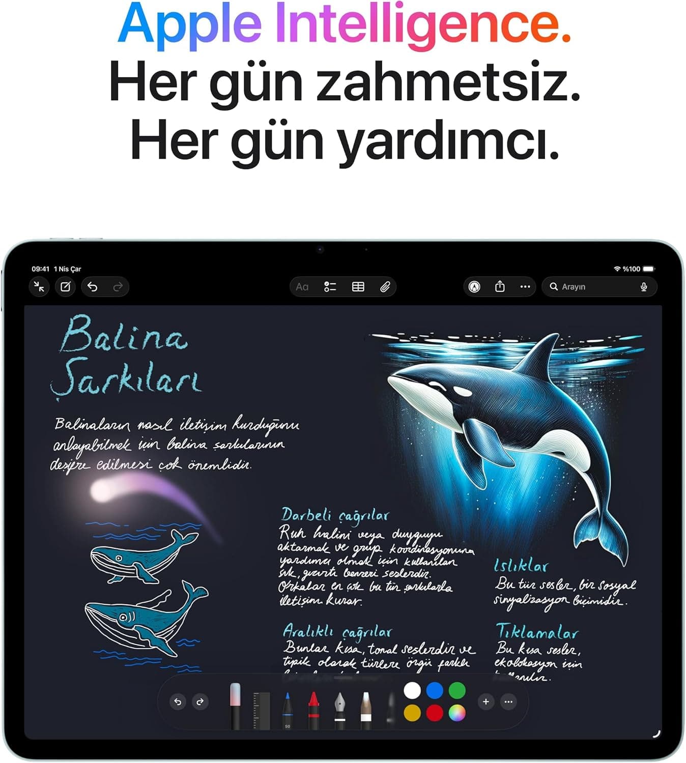 تبلت iPad Air Apple 13 inç با نمایشگر Liquid Retina، 256 GB، دوربین 12 MP جلو و عقب، Wi-Fi 7 با Apple N1، خاکستری فضایی، مدل M4 تبلت iPad Air Apple 13 inç با نمایشگر Liquid Retina، 256 GB، دوربین 12 MP جلو و عقب، Wi-Fi 7 با Apple N1، خاکستری فضایی، مدل M4