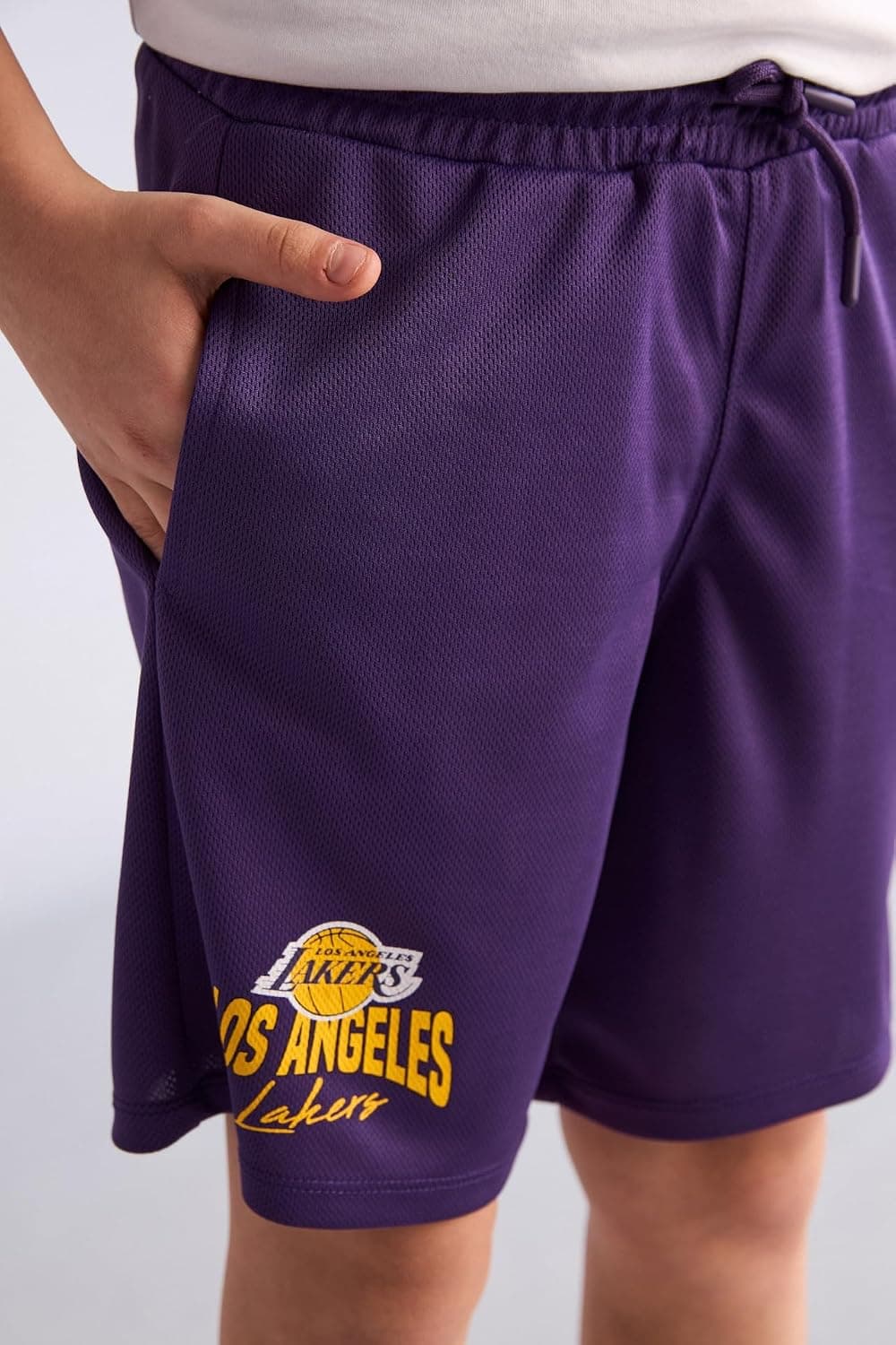 شلوارک پسرانه DeFacto NBA Los Angeles Lakers فیت معمولی مدل H2918A826HS شلوارک پسرانه DeFacto NBA Los Angeles Lakers فیت معمولی مدل H2918A826HS