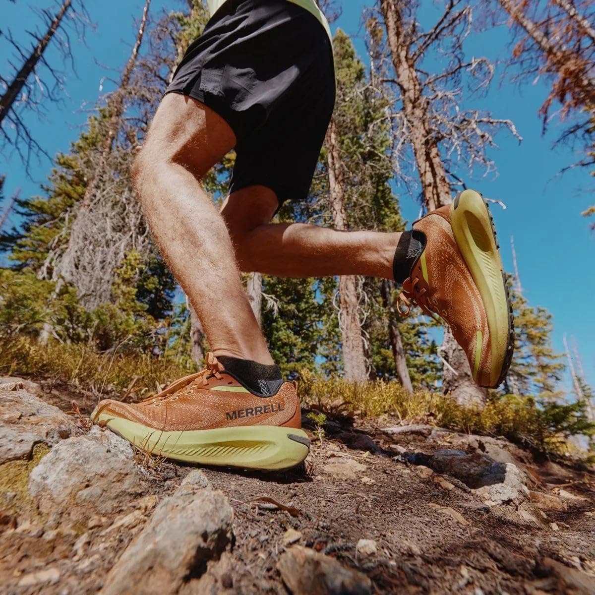 کفش دویدن مردانه Merrell مدل Morphlite کفش دویدن مردانه Merrell مدل Morphlite