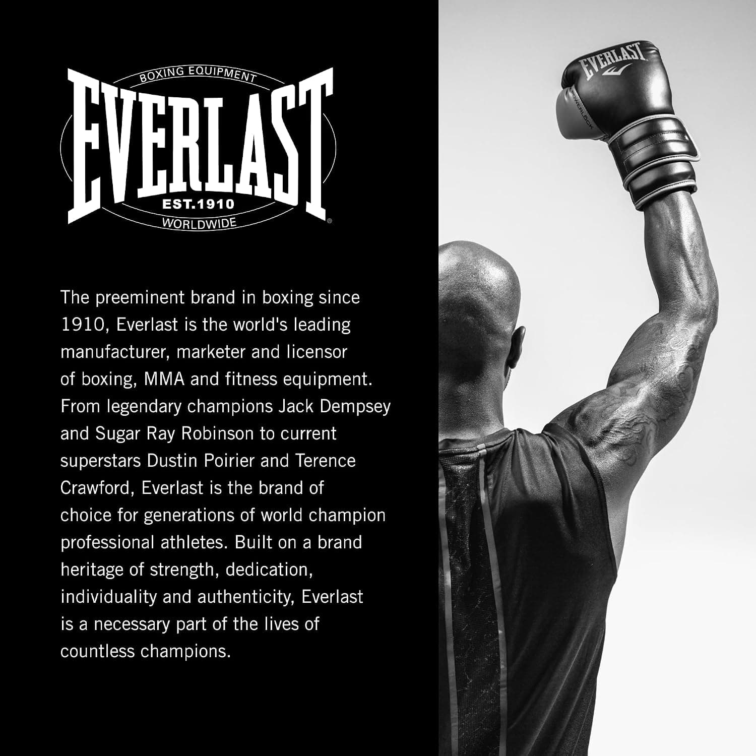 محصول Everlast مدل Elite V2 محصول Everlast مدل Elite V2