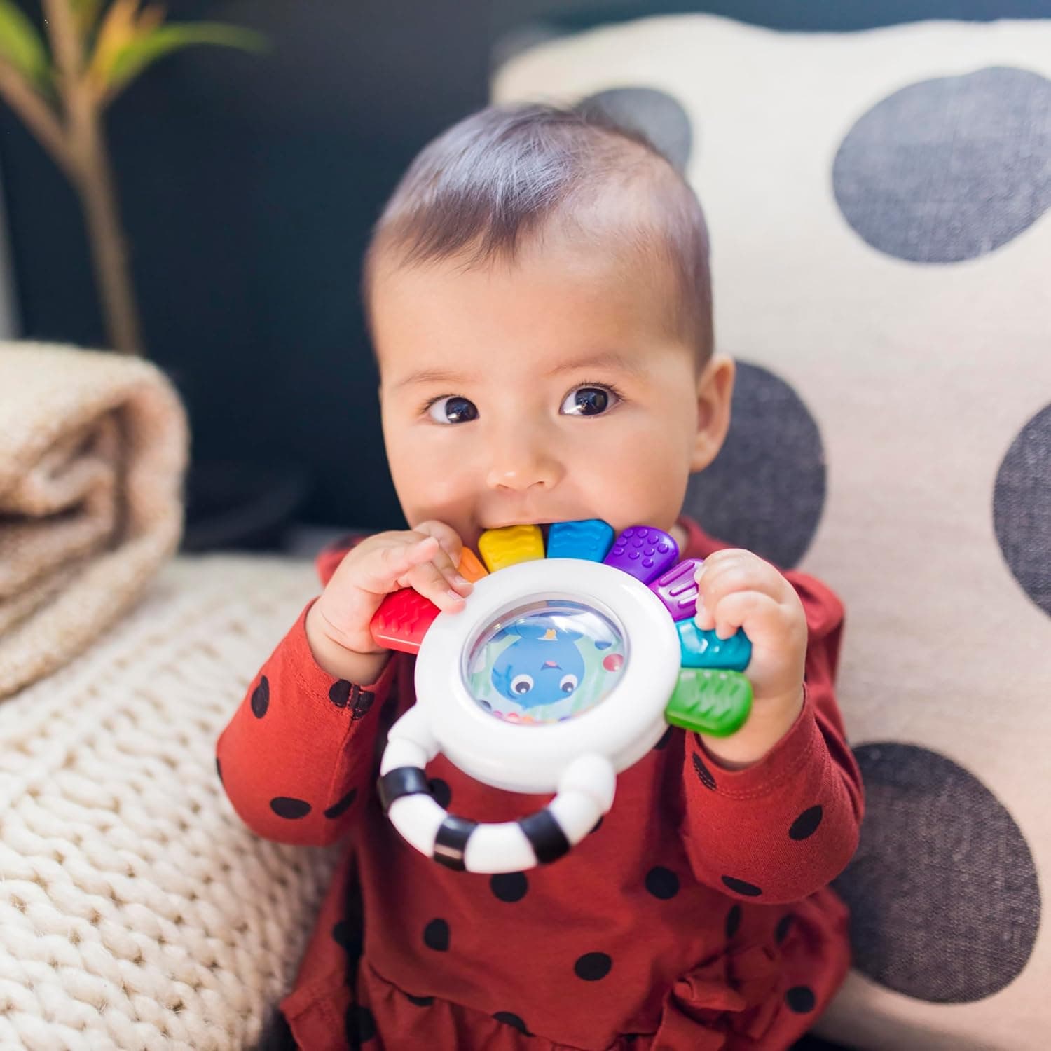 اسباببازی حسی چندمنظوره جغجغه و دندانگیر نوزاد Baby Einstein مدل Outstanding Opus The Octopus، بدون BPA، قابل خنککردن، مناسب 3 ماه به بالا، 1pk اسباببازی حسی چندمنظوره جغجغه و دندانگیر نوزاد Baby Einstein مدل Outstanding Opus The Octopus، بدون BPA، قابل خنککردن، مناسب 3 ماه به بالا، 1pk