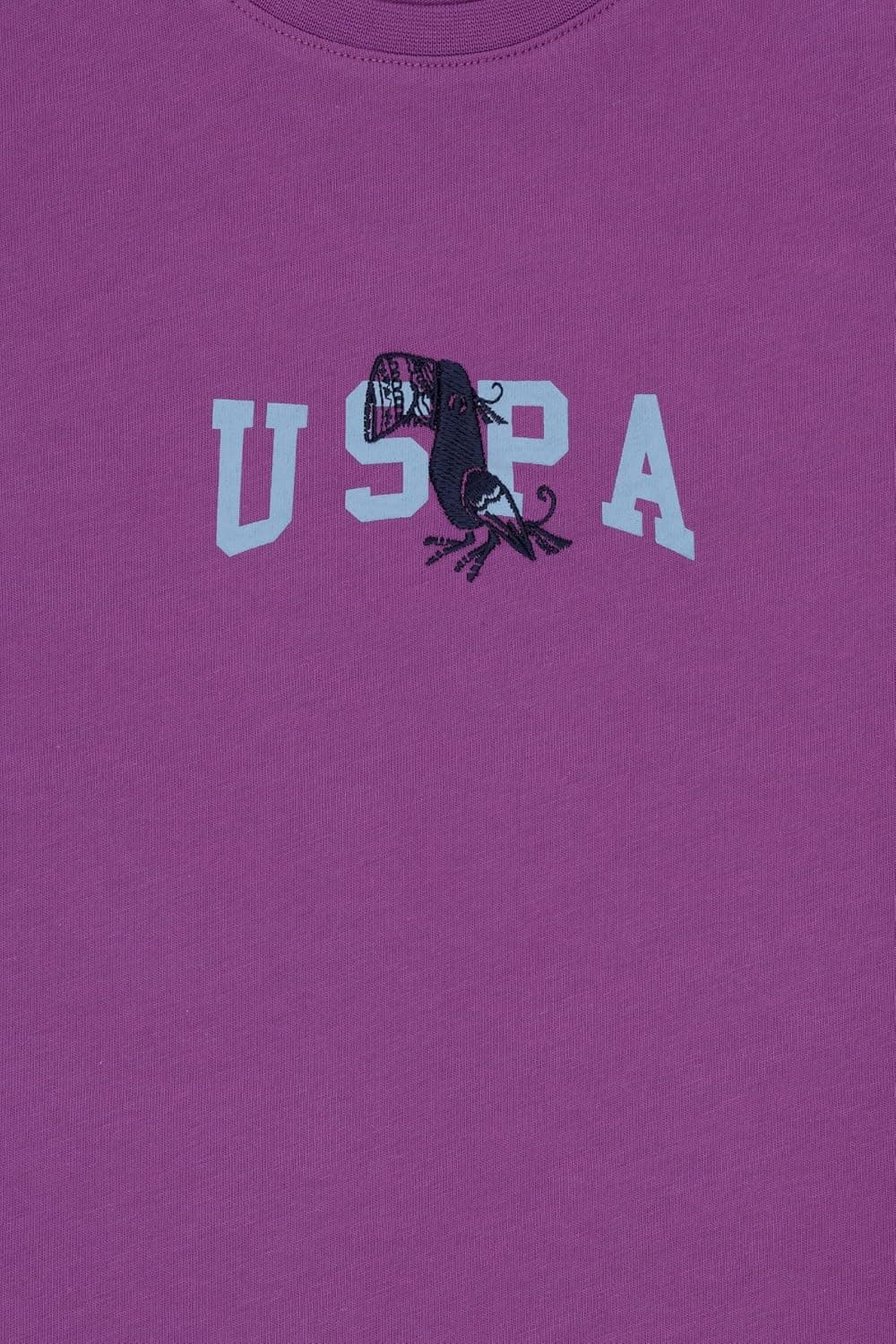 تیشرت پسرانه U.S. POLO ASSN. بنفش مدل 50307321-VR037 تیشرت پسرانه U.S. POLO ASSN. بنفش مدل 50307321-VR037